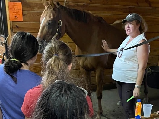 Woman showing horse to kids.