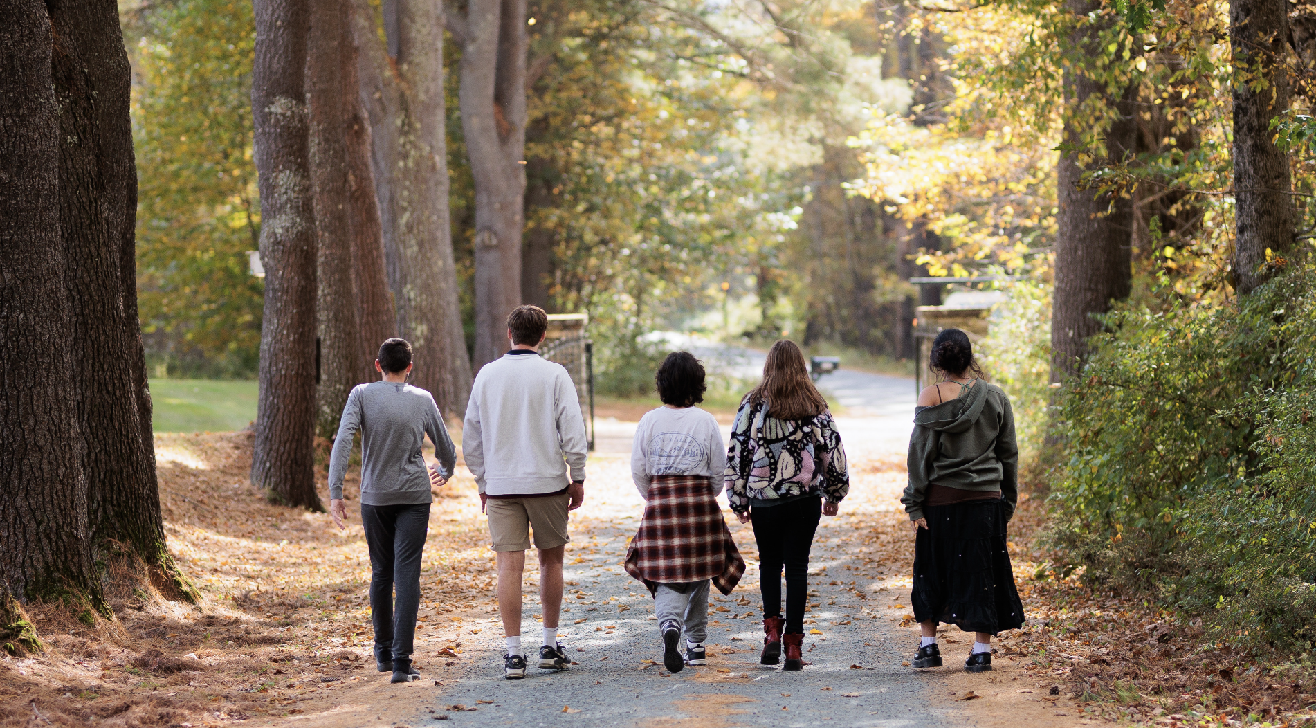 Sharon McCallie-Steller and The Transition Beyond Mountain Valley