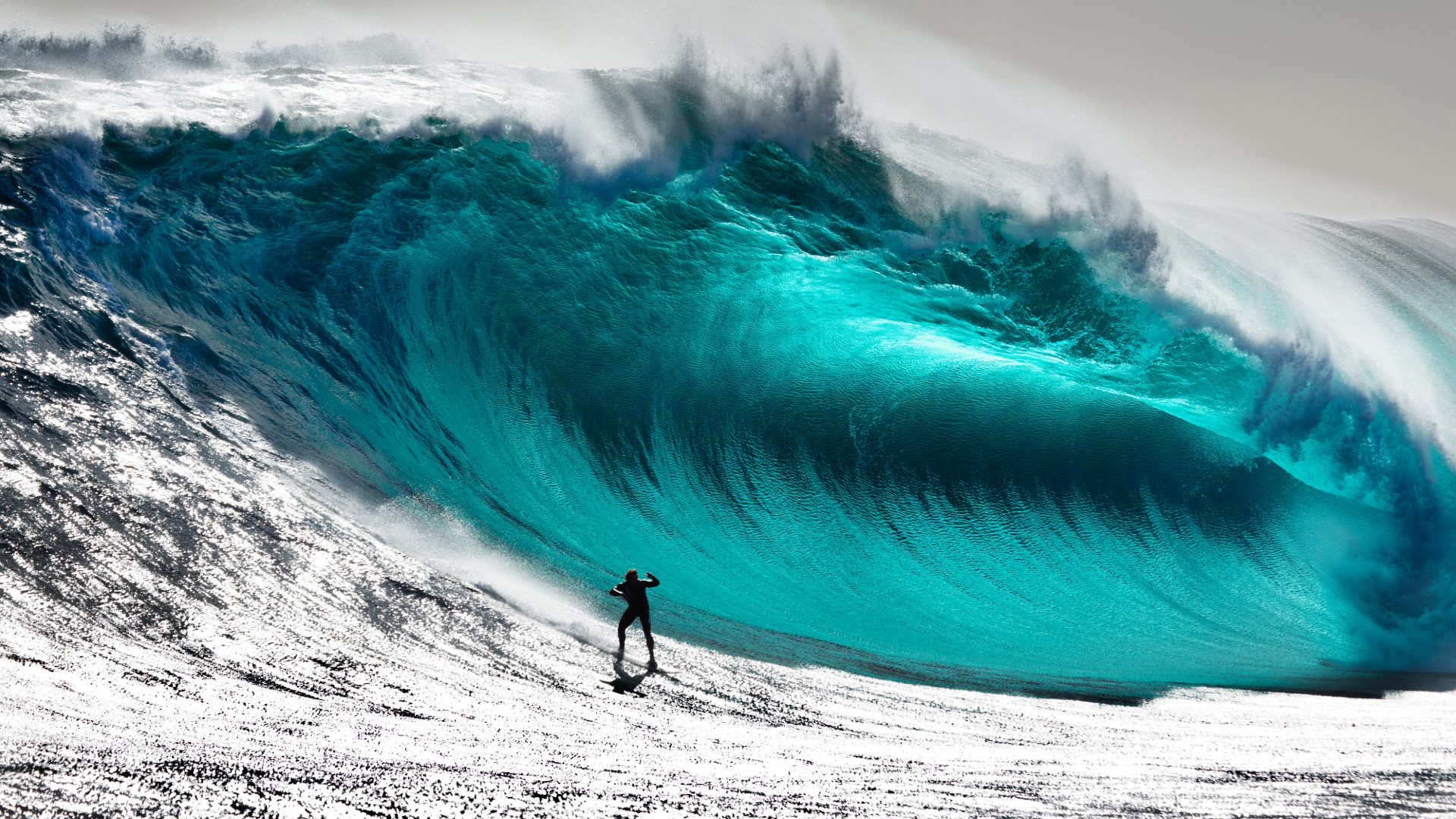 surfing the wave